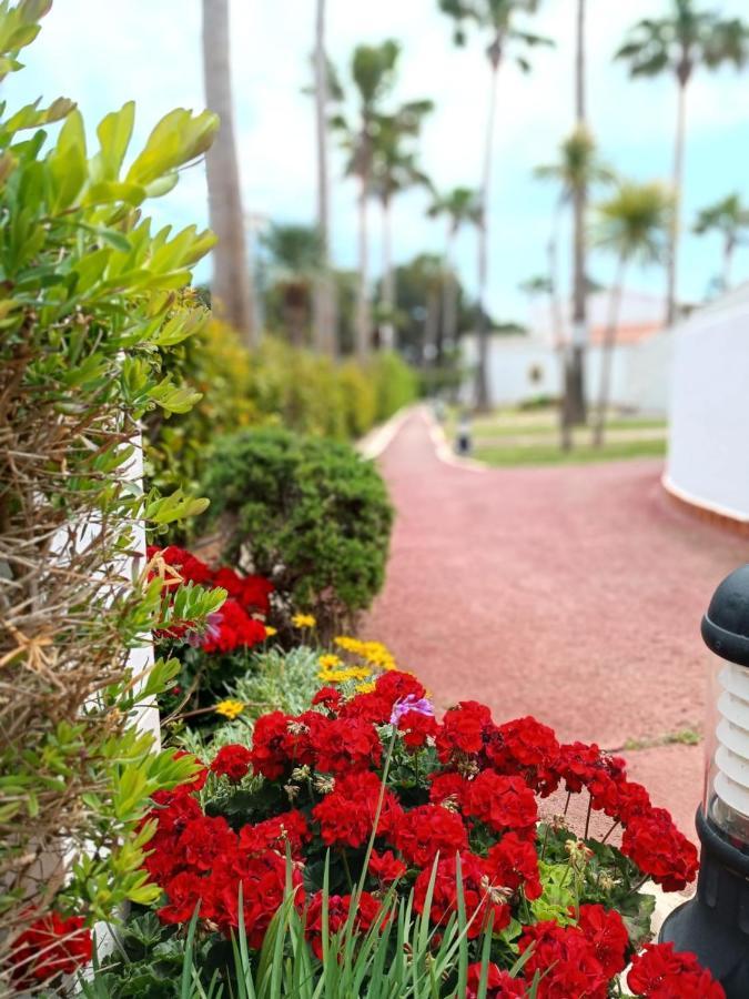 Bon Repos - B10, Apartamento Con Terraza En Cala'N Bosch Cala en Bosc Eksteriør billede